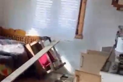 Rize yaylalarında ayı paniği: 20 ev talan edildi