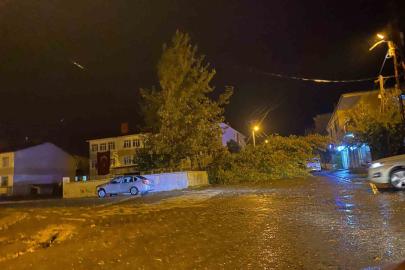 Rüzgarın kökünden söktüğü ağaç otomobilin üzerine devrildi