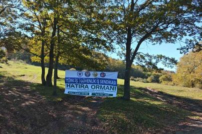 Sakarya’da yeşil geleceğe katkı: 22 bin fidan toprakla buluştu