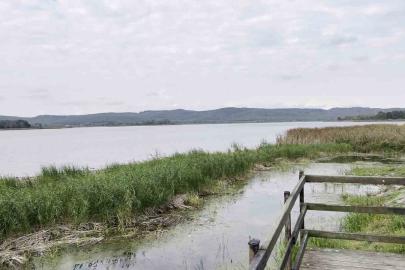 Sakarya’nın alüvyon set gölü can çekişiyor: Su seviyesi 8 metreden 2 metreye düştü
