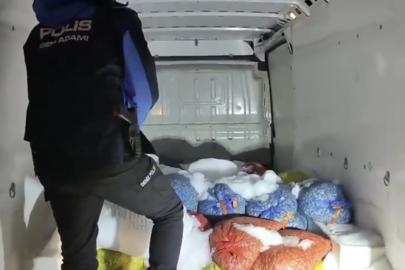 Samsun polisinden kaçak midye operasyonu