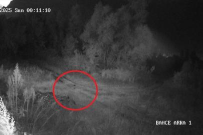 Samsun’da 2 haftadır kayıp olan genç ilçede paniğe yol açtı: Vatandaşlar tedirgin