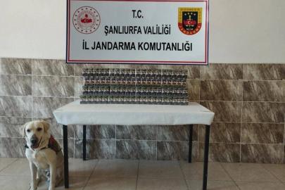 Şanlıurfa’da 7 bin 940 paket kaçak sigara ele geçirildi