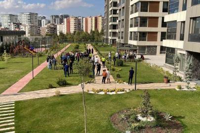Şanlıurfa’da alacak kavgası: 4 yaralı