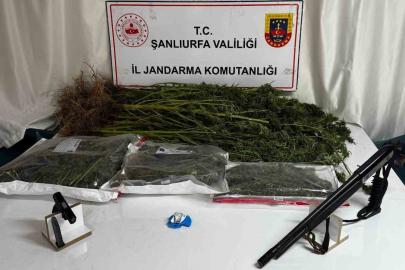 Şanlıurfa’da uyuşturucu operasyonunda 1 gözaltı