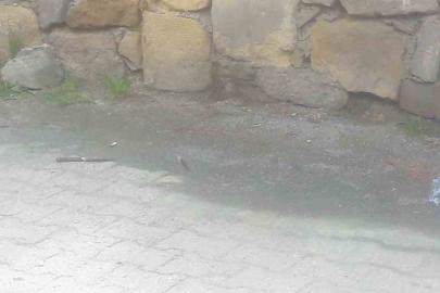 "Seni Kastamonu’da gezdirmem" sözü tahrik sayıldı: 1 kişiyi bıçaklayan baba-oğula indirimli ceza