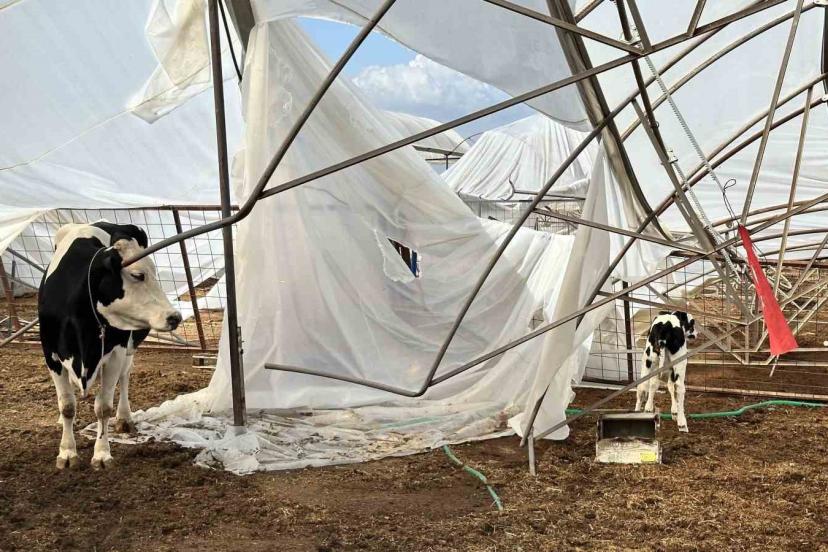 Serik’te hasar tespit çalışmaları sürüyor