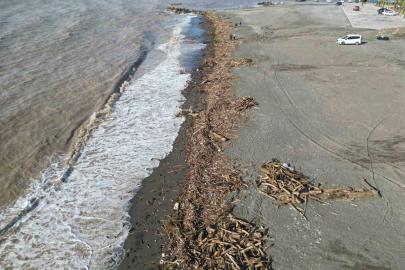Şiddetli yağışla kahverengiye dönen Akdeniz’de kıyı kütüklerle kaplandı