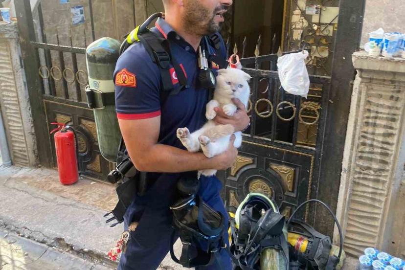 Siirt’te yangında mahsur kalan kediyi itfaiye ekipleri kurtardı