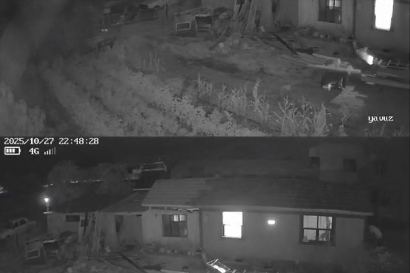 Sındırgı depreminde beşik gibi sallandı...O anlar kamerada