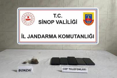 Sinop’ta bonzai ele geçirildi: 1 kişi tutuklandı