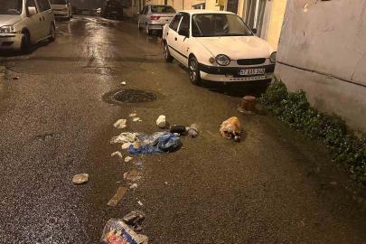 Sinop’ta sokağa bırakılan çöpler tepki çekti