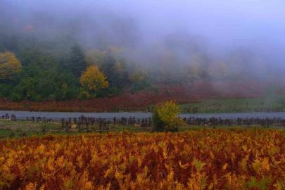 Sisler içindeki vadinin kalbinde doğa yürüyüşü