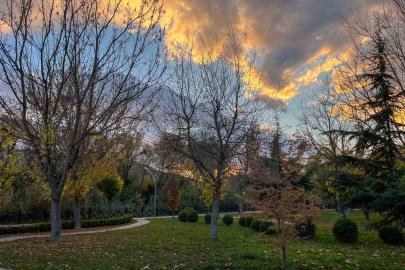 Sonbahar renkleri Eskişehir’i süsledi