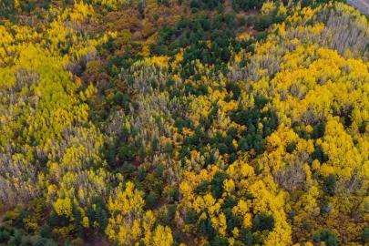 Sonbaharda seyirlik manzara