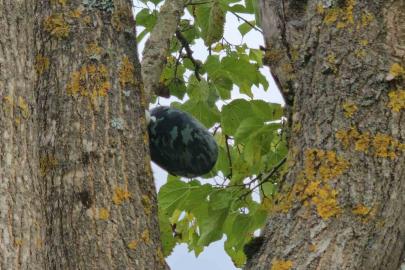 Su kuyusunda cansız bedeni bulunan Hasret’ın son mesajı babasına ‘Eve geliyorum’ olmuş