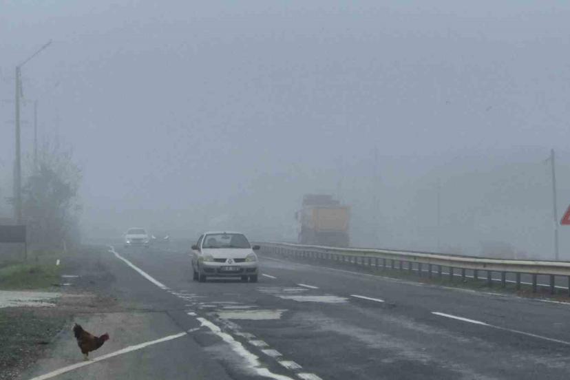 Tekirdağ-Muratlı karayolunda yoğun sis etkili oldu