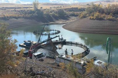 Tercan Baraj Gölü’nde su ürünleri üretimi büyüyor