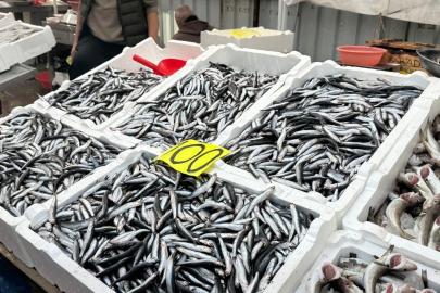 Tezgahta 100 liraya düşen hamsi yoğun ilgi gördü