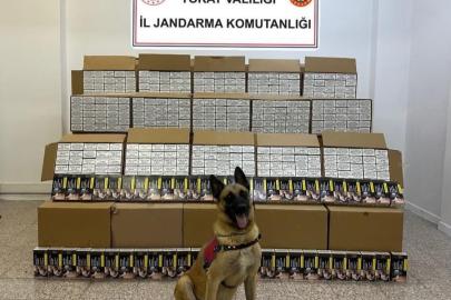 Tokat’ta 1 milyon 200 bin TL değerinde bandrolsüz makaron ele geçirildi