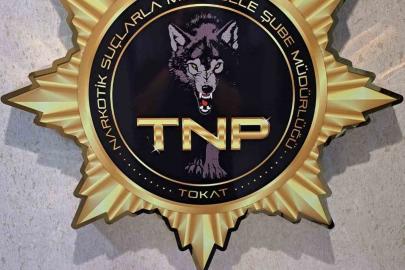 Tokat’ta uyuşturucu operasyonu, 500 içimlik bonzai ele geçirildi