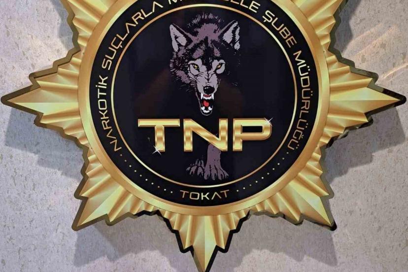 Tokat’ta uyuşturucu operasyonu, 500 içimlik bonzai ele geçirildi