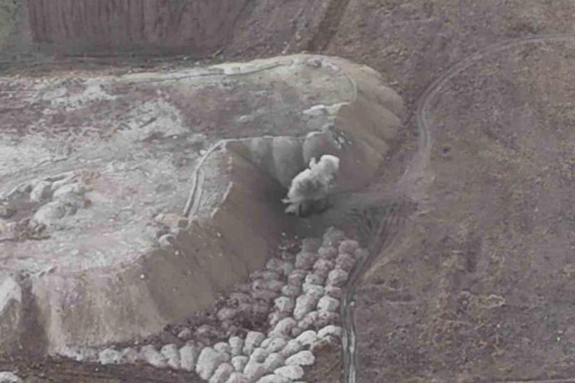 Top mermileri kontrollü olarak imha ediliyor