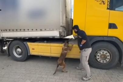 Tosya’da tıra zulalanmış uyuşturucu ele geçirildi: 1 tutuklama