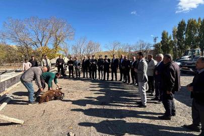 Tutak’ta hayvan pazarı yapılıyor