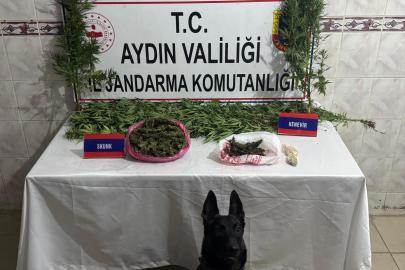 Uyuşturucu satıcısının evinde 498 gram skunk ele geçirildi