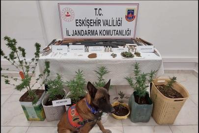 Uyuşturucu ve silah bulunduran 7 şüpheli jandarma tarafından yakalandı