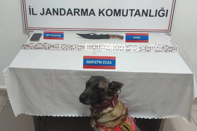 Üzerinde 170 adet uyuşturucu hapla yakalandı