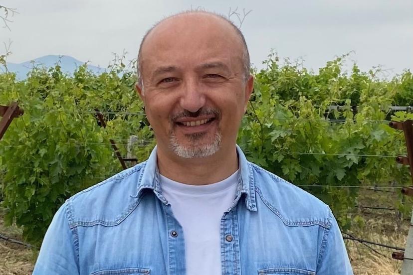 Üzümlerin zirai dona dayanıklılık düzeyleri artık belirlenebilecek