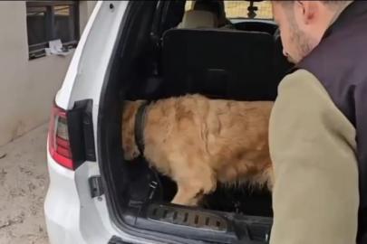 Üzümlü gümrük muhafaza ekiplerinden uyuşturucu operasyonu. Lüks otomobilde 60 kilogram metamfetamin ele geçirildi