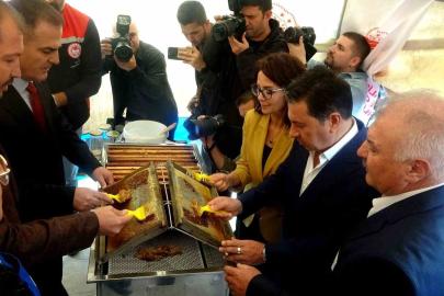 Vali Akbıyık: "Çam balında dünya birincisiyiz"