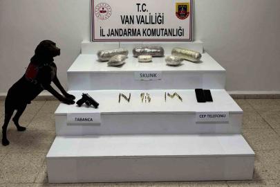 Van’da 4 kilo 311 gram skunk ele geçirildi