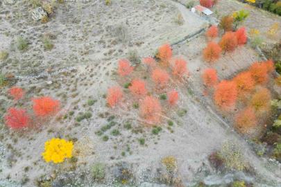 Yağlı boya tablolarını andıran sonbahar manzarası