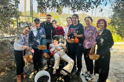 Yahşi Özel Eğitim öğrencilerinden anlamlı zeytin hasadı