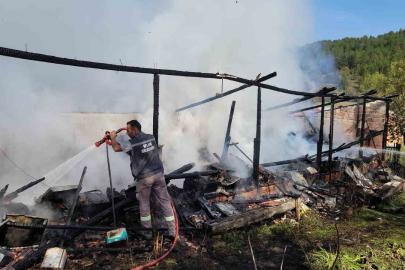 Yangında 36 kovan arı telef oldu