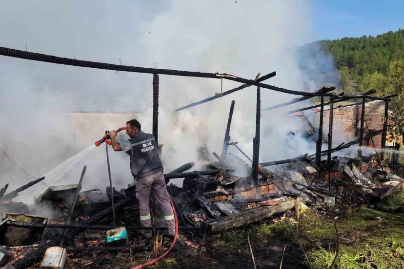 Yangında 36 kovan arı telef oldu