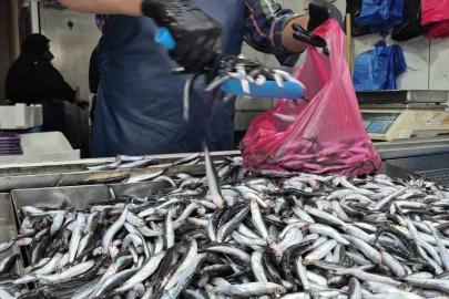 Yaz sıcakları palamudu vurdu, yerini hamsi aldı