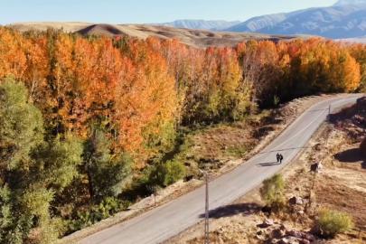 Yüksekova’da sonbahar ihtişamı: Kırmızı, sarı ve yeşil Cilo eteklerini cennete çevirdi