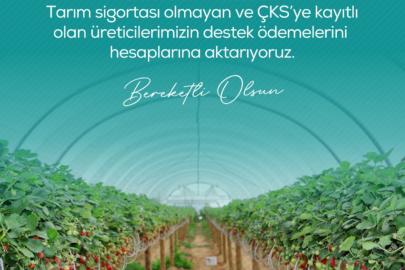 Zirai dondan etkilenen çiftçilere 13 milyar 221 milyon lira destek ödemesi yapılacak