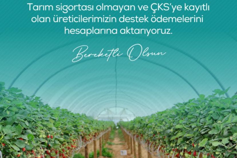 Zirai dondan etkilenen çiftçilere 13 milyar 221 milyon lira destek ödemesi yapılacak