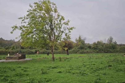 Zonguldak’ta su kuyusunda kadın cesedi bulundu
