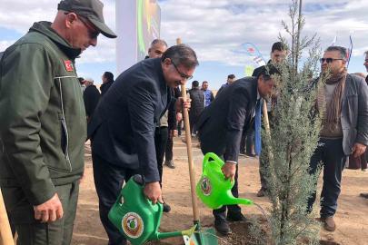 11 Kasım Milli Ağaçlandırma Günü’nde 20 bin fidan dikildi