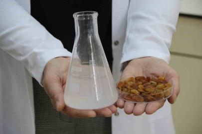 500 milyon dolarlık ihracata bilimsel kalkan