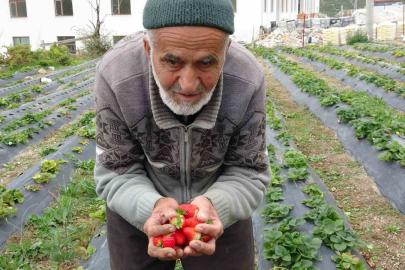 85 yaşındaki İbrahim dede "Hayır Bahçesi"nde yetiştirdiği meyve ve sebzeleri ücretsiz ikram ediyor