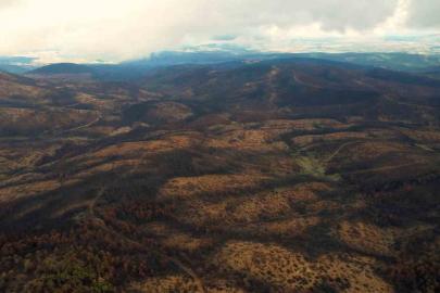 953 hektar kül oldu, Bursa’yı yeniden yeşertecek 300 bin fidan için ilk adım atıldı