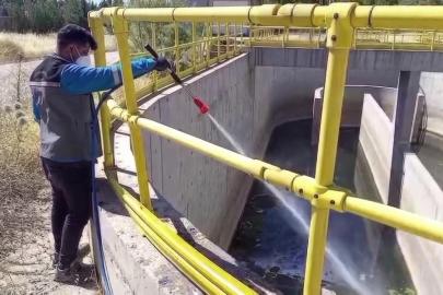 Adıyaman Belediyesi larva mücadelesini yoğunlaştırdı